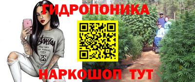 apvp Краснодар