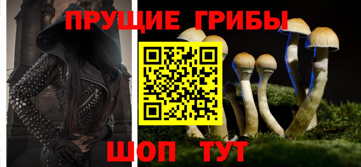 Псилоцибиновые грибы Cubensis  Галлюциногенные грибы Magic Shrooms  Дзержинский  Вход с VPN 